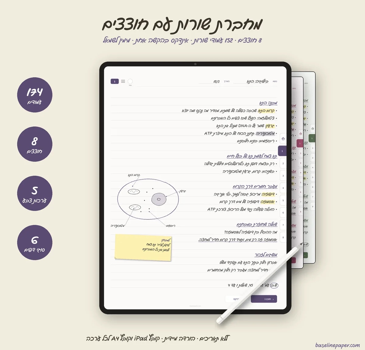 מחברת שורות עם חוצצים