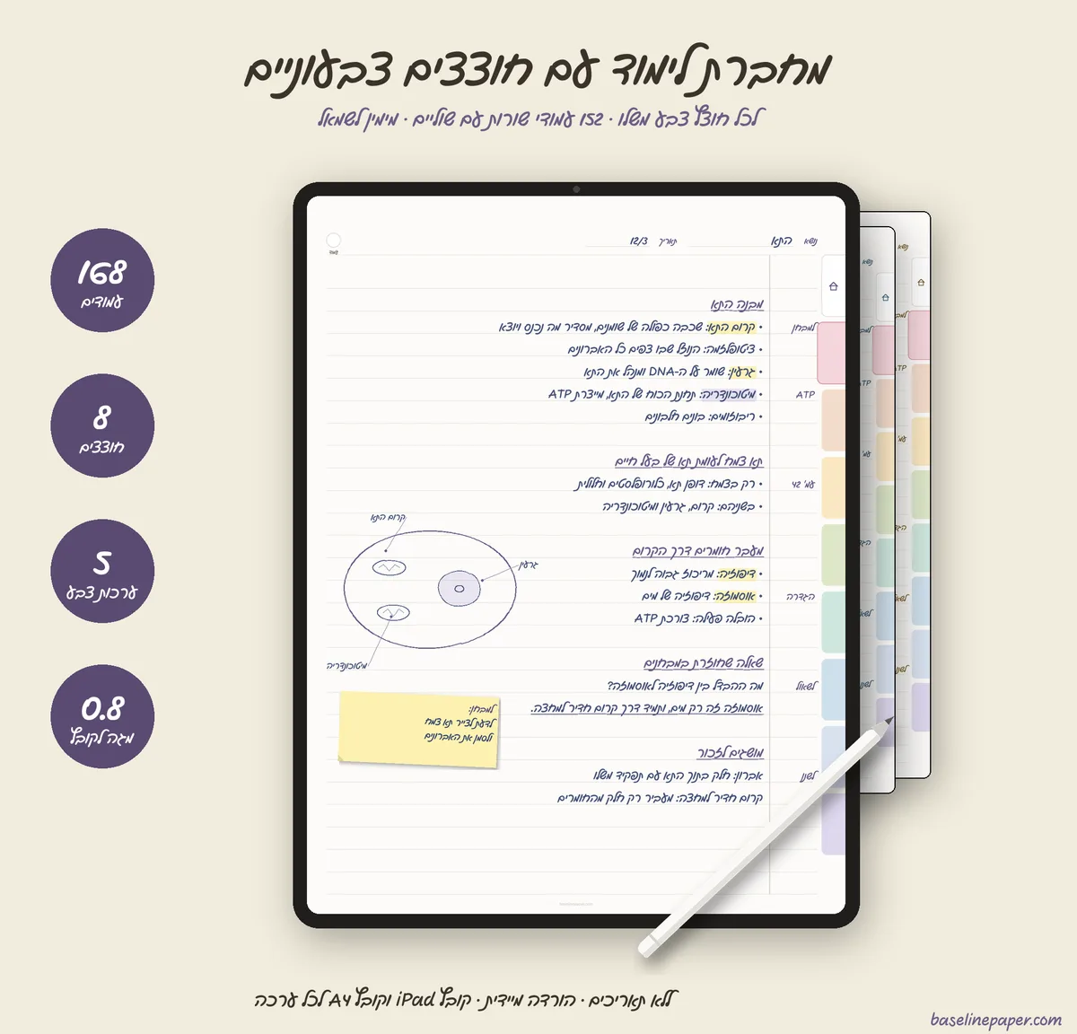 מחברת לימוד עם חוצצים צבעוניים